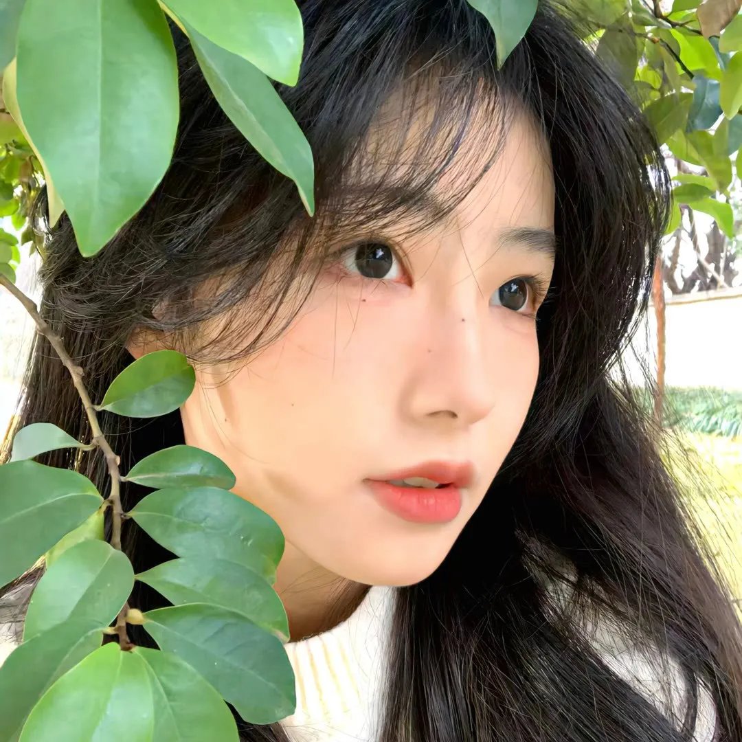 贞操带