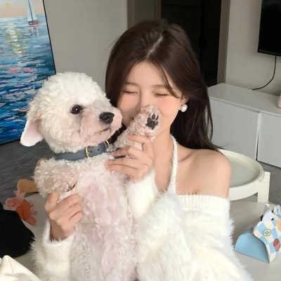 小乌龟福兰克林